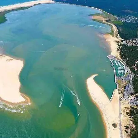 « la Palmeraie » Residentielle Avec Piscine * La Palmyre