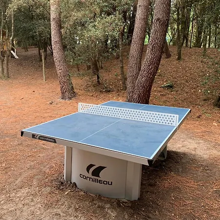 Casa vacanze  la Palmeraie   Résidentielle Avec Piscine La Palmyre