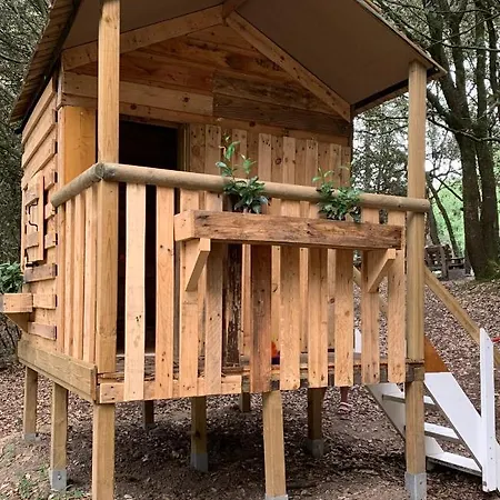 la Palmeraie   Résidentielle Avec Piscine * La Palmyre
